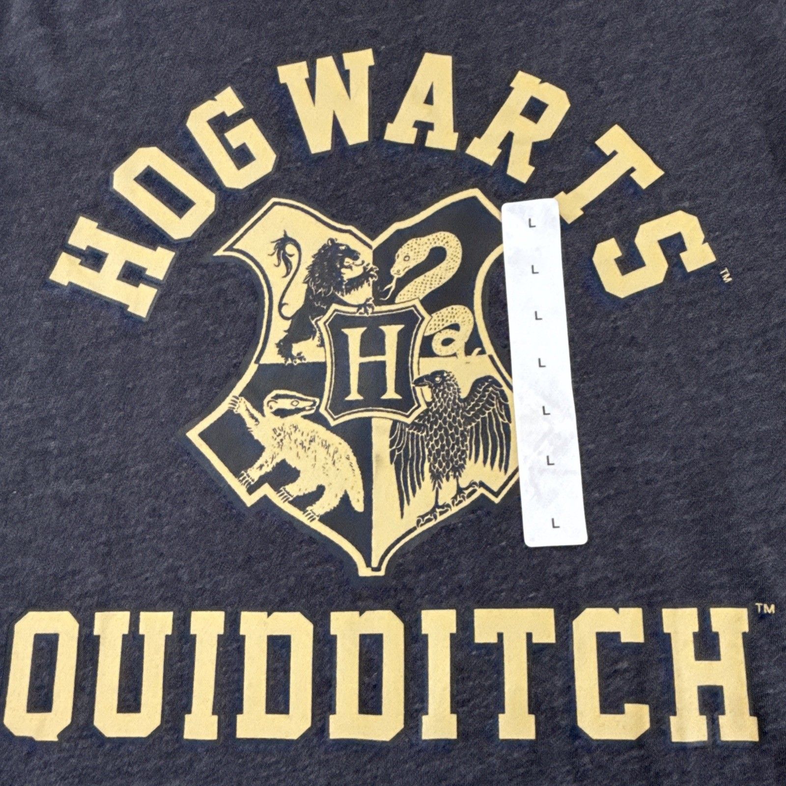 Harry Potter Hogwarts Quidditch Graphic Long Sleeve Crew Neck Tshirt Youth Large — image 6 of 8
